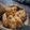 Cooksnap dari Thea Priestiashanti untuk resep Coconut Butter cookies