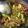 Yogita Ajudiya's cooksnap of when they made કોબીજ ગાજર મરચાં નો સંભારો (Cabbage Gajar Marcha Sambharo Recipe In Gujarati).
