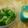 Cooksnap dari RuDewi untuk resep Broccoli and Cheese