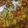 Sneha Patel's cooksnap of when they made Gujarati Undhiyu.