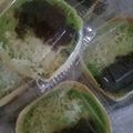 Cooksnap dari Rean Putry untuk resep Terang bulan mini