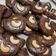 Cooksnap dari Berliani Lante untuk resep Choco Cashew Cookies