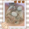 Cooksnap dari Intan Septiyuddini untuk resep Cilok kuah pedas