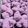 Cooksnap dari Fachrul Nurannisa untuk resep Bolu Kukus Mekar Rainbow