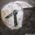 Cooksnap dari puji adi waluyo untuk resep Kolak Pisang Sederhana