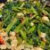 Cooksnap dari oktiwidya untuk resep 554. Tumis Kangkung Jamur Saus Tiram
