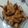 Cooksnap dari eva meylani untuk resep 13.3 Ayam Kecap Asam Manis