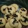 Cooksnap dari Selviyani untuk resep Kue cubit tanpa mixer