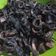 Cooksnap dari Hamasah Rasyeed untuk resep Cumi hitam (kental)