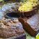 El cooksnap de Fabiana Petraglia cuando hizo Torta de zanahorias, exquisita y súper fácil.