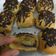 Cooksnap dari Yuni untuk resep Bolen Pisang Bandung