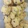 Cooksnap dari Ema Istria untuk resep Chocochips Cookies Lumer