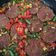 Cooksnap dari Maria Faisal untuk resep Rolade sapi saus tiram