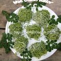 Cooksnap dari Dapur OemahDanish untuk resep Mie mentah daun kelor homemade