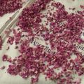 کوک اسنپ hooy rose 1381 بعد از امتحان کردن گل محمدی🌺.