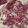کوک اسنپ hooy rose 1381 بعد از امتحان کردن گل محمدی🌺.