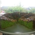 Cooksnap dari Ay YuLi untuk resep Brudel Pandan Keju 2 Telur. TANPA Timbangan & Mixer ~ Cake rasa roti yg empuk. 😋