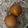 Asha Sharma's cooksnap of when they made Gulab jamun.