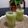 Cooksnap dari Santi Sariningsih untuk resep Juice Cellery / Jus Seledri anti penuaan dini