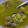 El cooksnap de alexa_ dr_ cuando hizo MOLE DE OLLA VERDE - 2.