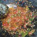 Cooksnap dari Tri Pratiwi untuk resep Sambal Terasi Praktis