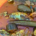 Cooksnap Nur Dhunaa AB Maleq semasa beliau membuat Kari ikan merah.