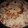 El cooksnap de omar cuando hizo Torta de manzanas y crumble.