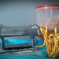 Cooksnap dari puspita untuk resep Cheese stick