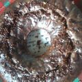 Cooksnap dari Mbu Azka untuk resep Brownies kukus, no mixer, no telur, coklat banget 😁😁😁