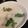 Ernest Lee 的 豆漿雞柳白玉味噌湯健身好料理 cooksnap
