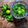 Sushmita Chakraborty's cooksnap of when they made ভার্জিন মোহিতো(mojito recipe in Bengali).
