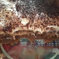 El cooksnap de evelyn cuando hizo Tiramisú fácil 😊.