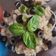 El cooksnap de Mate Amargo 🧉🍪 cuando hizo Spaghetti mediterráneo, one pot pasta.