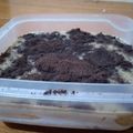 Cooksnap dari Adini Kitchen ✨ untuk resep Oreo Cheese Cake Lumer (Irit,ekonomis,Enak)