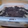 Cooksnap dari Adini Kitchen ✨ untuk resep Oreo Cheese Cake Lumer (Irit,ekonomis,Enak)