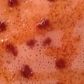 صورة من نايلية 1، شاركها بعد تجربة وصفة قرصة (بغرير غرايف) 1*3 😋😋😍😍