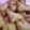 Saima Shahzad's cooksnap of when they made United King beef Samosa.