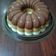 Cooksnap dari aniek nur'aini untuk resep Puding Jelly Oreo Beng² Drink