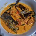 Cooksnap dari rezki amelia untuk resep Ikan tuna cakalang bumbu kuning