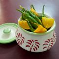 Sunita Vaghela's cooksnap of when they made ઇન્સ્ટન્ટ રાયતાં મરચાં (Instant Raita Marcha Recipe In Gujarati).