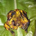 Cooksnap dari shafjasmine untuk resep Ayam Bakakak Bakar Istimewa