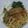 Cooksnap dari Tri Rahayu untuk resep Mie ayam Solo (resep topping saja)
