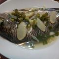 趙蓓蒂 的 清蒸鱸魚 cooksnap