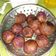 Cooksnap dari Enno untuk resep Bola-bola ubi ungu isi gula merah dan susu