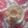 Shazia Shakir's cooksnap of when they made Simple Tea.