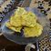 Cooksnap dari Hestinopiyanti untuk resep Tempe Goreng Tepung Crispy (Ada tips nya juga ya)
