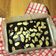 Cooksnap dari patricia untuk resep Brownie Cake (flourless) keto/ debm