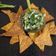 HEMA OZA's cooksnap of when they made મેથીના શક્કરપારા (Methi Shakkarpara Recipe In Gujarati).