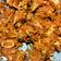 Cooksnap dari farida untuk resep Sambal Cumi Kering (#BantuMantenBaru)
