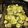 Maria Taveras's cooksnap of when they made Zucchini Squash Bake.